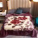 Raschel blanket double layer thickened single and double person cloud blanket in autumn and winter coral velvet flannel quilt double-sided flannel blanket 