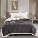 Autumn and winter thickened warm taff milk wool blanket version pure simple lamb wool blanket blanket bedding 