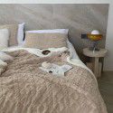 Autumn and Winter Pure Tuff Cashmere Lamb Blanket Double layer Leisure ins Wind Cover Blanket Jacquard Gift Blanket Wholesale 