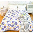 Winter Teddy plush thickened milk wool blanket bedding straight edge milk wool thickened bed blanket 