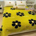 Winter Teddy plush thickened milk wool blanket bedding straight edge milk wool thickened bed blanket 