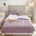 Autumn and winter thickened warm taff milk wool blanket version pure simple lamb wool blanket blanket bedding 