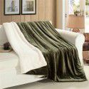 Thick blanket, small wool quilt in winter, double layer thickened insulation, single leg covering, afternoon nap, student dormitory, coral blanket 