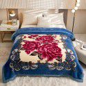 Raschel blanket double layer thickened single and double person cloud blanket in autumn and winter coral velvet flannel quilt double-sided flannel blanket 