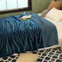 Thick blanket, small wool quilt in winter, double layer thickened insulation, single leg covering, afternoon nap, student dormitory, coral blanket 
