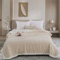 Tafurong blanket Double layer thickened jacquard lamb wool blanket Children's blanket Nap blanket 2023 new spot wholesale