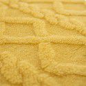 Tafurong blanket Double layer thickened jacquard lamb wool blanket Children's blanket Nap blanket 2023 new spot wholesale
