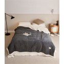 Three layer space capsule milk velvet soybean fiber blanket thickened coral velvet office sofa nap blanket in winter 